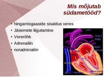 Inimene kui tervik organism #3