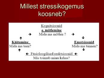 Stress #5