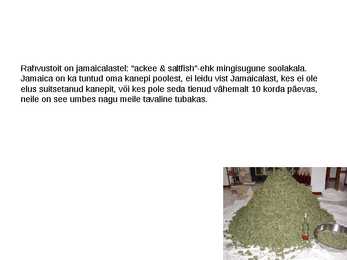 Jamaica tutvustus #6