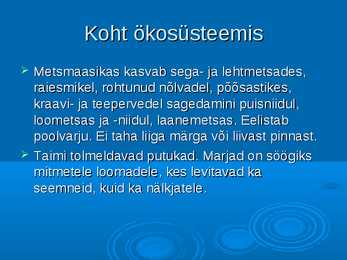 Ökoloogia ja keskkonnakaitse - Metskits ja metsmaasikas #17