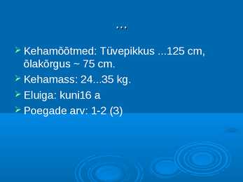 Ökoloogia ja keskkonnakaitse - Metskits ja metsmaasikas #4