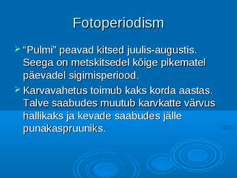 Ökoloogia ja keskkonnakaitse - Metskits ja metsmaasikas #10