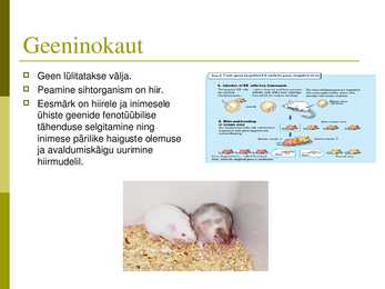 Geenitehnoloogia meetodid #9