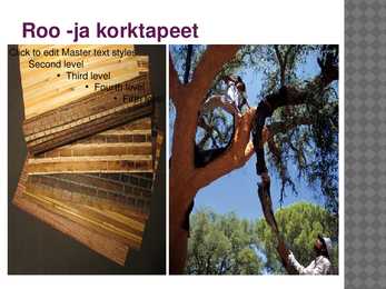 Tapeedi sortiment #13