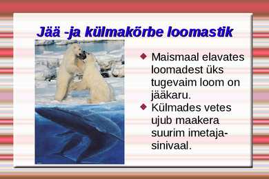 Loodusvööndite loomastik #2