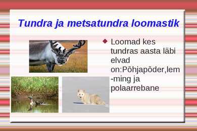 Loodusvööndite loomastik #3