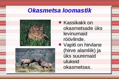 Loodusvööndite loomastik #5