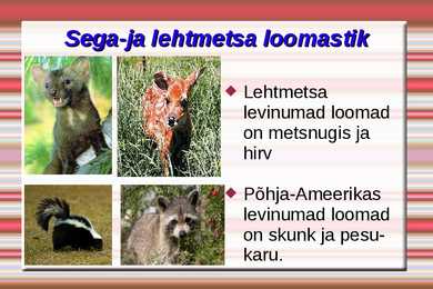 Loodusvööndite loomastik #6