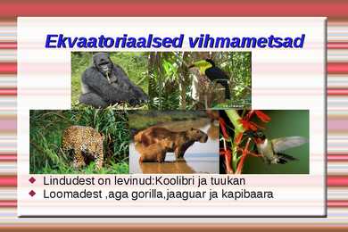 Loodusvööndite loomastik #8
