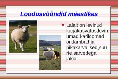 Loodusvööndite loomastik #9