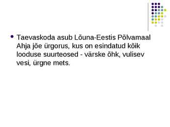 Taevaskoja #2