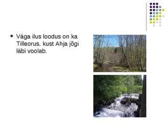 Taevaskoja #14