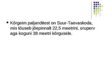 Taevaskoja #4
