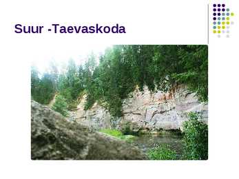 Taevaskoja #5