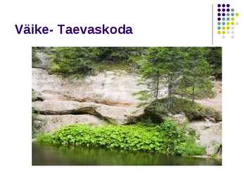 Taevaskoja #7