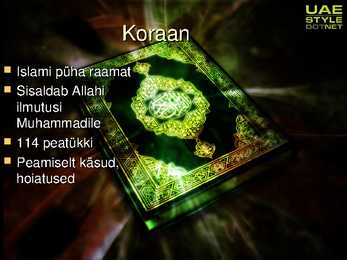 Türgi #3
