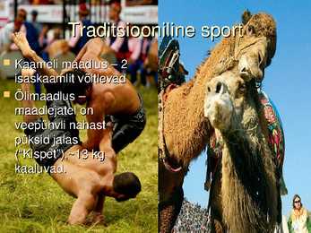 Türgi #6