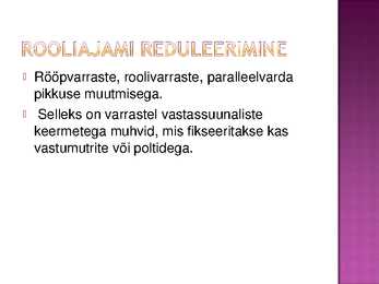 Roolimehhanism ja rooliajam #17