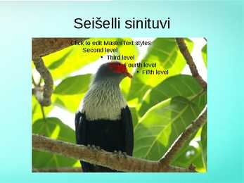 Seišellid #18