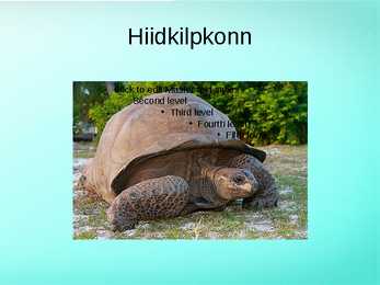 Seišellid #19