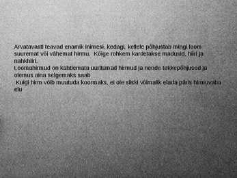 Foobia #15