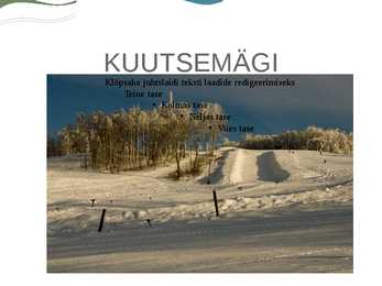 Snowboarding #12