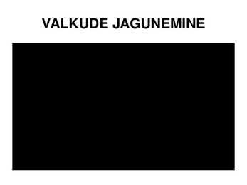 Valgud ja süsivesikud #4