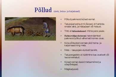 Talupojad ja mõisamajandus #4