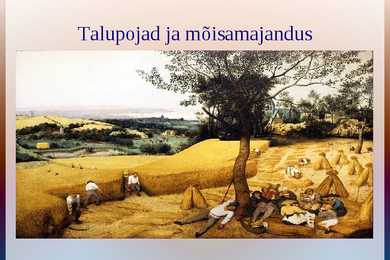 Talupojad ja mõisamajandus