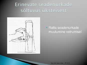 Rataste suunangud #49