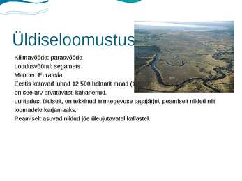Eesti luhad #2