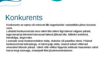 Eesti luhad #11