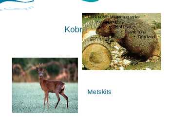Eesti luhad #13
