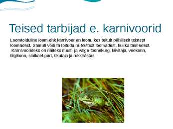 Eesti luhad #17