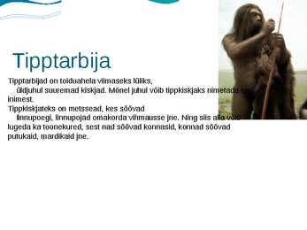 Eesti luhad #18