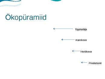 Eesti luhad #19