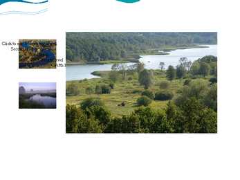 Eesti luhad #22