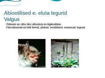 Eesti luhad #5