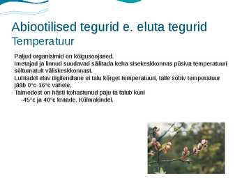 Eesti luhad #7