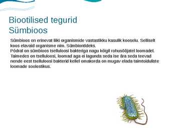 Eesti luhad #8