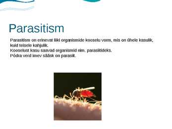 Eesti luhad #9