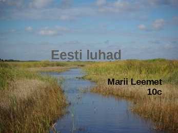 Eesti luhad