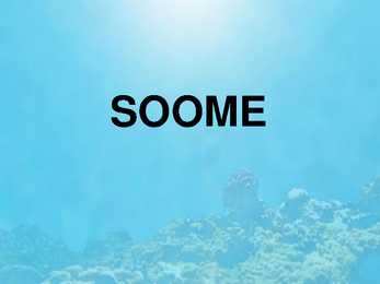 Soome riik