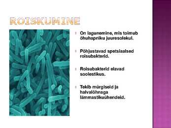 ENERGIA ERALDUMINE JA NEELDUMINE #4