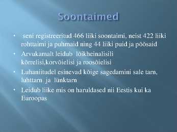 Alam- Pedja looduskaitseala #12