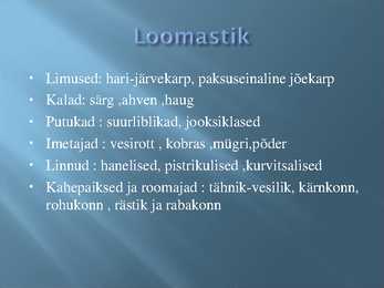 Alam- Pedja looduskaitseala #15