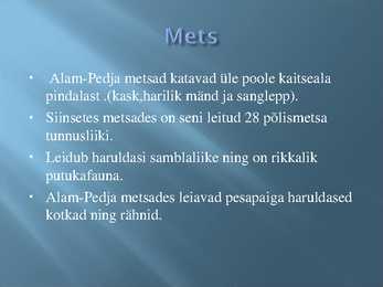 Alam- Pedja looduskaitseala #3