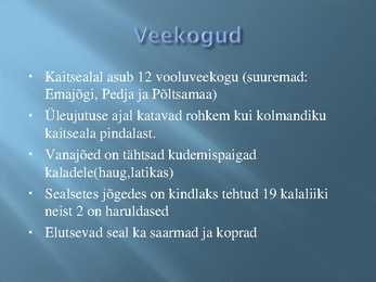 Alam- Pedja looduskaitseala #6