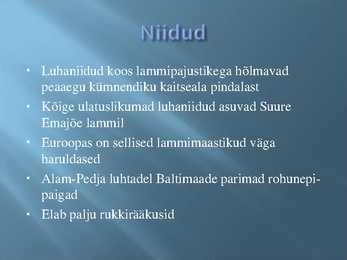 Alam- Pedja looduskaitseala #7