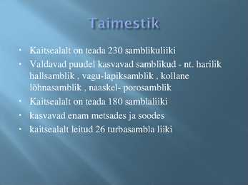 Alam- Pedja looduskaitseala #9